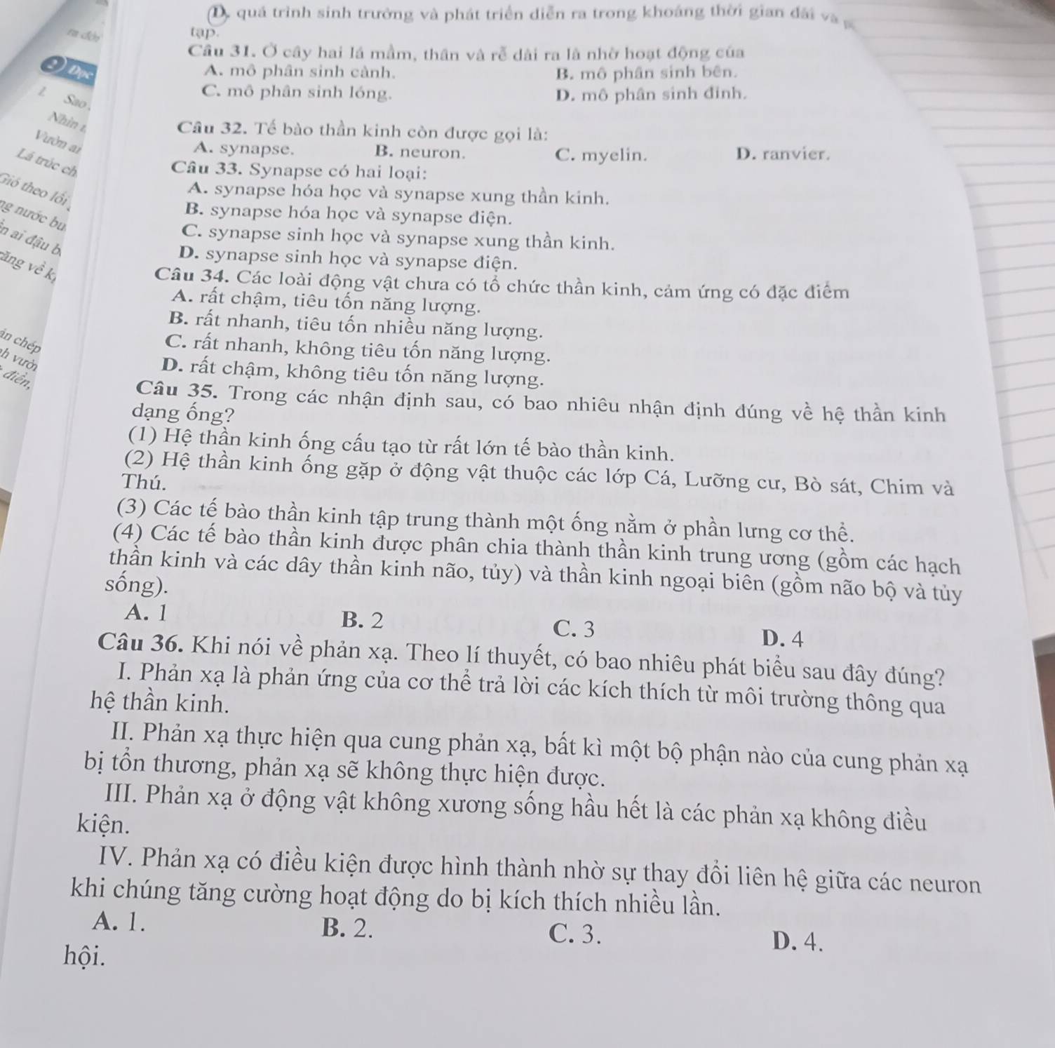 D, quá trình sinh trưởng và phát triển diễn ra trong khoáng thời gian đài và 
ra đớn
tap.
Câu 31. Ở cây hai lá mầm, thần và rễ dài ra là nhờ hoạt động của
2 )  Đọc
A. mô phân sinh cành. B. mô phân sinh bên.
C. mô phân sinh lóng. D. mô phân sinh đinh.
L Sao
Nhìn 1
Câu 32. Tế bào thần kinh còn được gọi là:
Vườn ai
A. synapse. B. neuron. C. myelin. D. ranvier.
Lá trúc ch
Câu 33. Synapse có hai loại:
Gió theo lối
A. synapse hóa học và synapse xung thần kinh.
B. synapse hóa học và synapse điện.
ng nước bu n ai đậu b
C. synapse sinh học và synapse xung thần kinh.
D. synapse sinh học và synapse điện.
ăng về kị
Câu 34. Các loài động vật chưa có tổ chức thần kinh, cảm ứng có đặc điểm
A. rất chậm, tiêu tốn năng lượng.
B. rất nhanh, tiêu tốn nhiều năng lượng.
in chép
C. rất nhanh, không tiêu tốn năng lượng.
h vười  điền,
D. rất chậm, không tiêu tốn năng lượng.
Câu 35. Trong các nhận định sau, có bao nhiêu nhận định đúng về hệ thần kinh
dạng ống?
(1) Hệ thần kinh ống cấu tạo từ rất lớn tế bào thần kinh.
(2) Hệ thần kinh ống gặp ở động vật thuộc các lớp Cá, Lưỡng cư, Bò sát, Chim và
Thú.
(3) Các tế bào thần kinh tập trung thành một ống nằm ở phần lưng cơ thể.
(4) Các tế bào thần kinh được phân chia thành thần kinh trung ương (gồm các hạch
thần kinh và các dây thần kinh não, tủy) và thần kinh ngoại biên (gồm não bộ và tủy
sống).
A. 1 B. 2 C. 3
D. 4
Câu 36. Khi nói về phản xạ. Theo lí thuyết, có bao nhiêu phát biểu sau đây đúng?
I. Phản xạ là phản ứng của cơ thể trả lời các kích thích từ môi trường thông qua
hệ thần kinh.
II. Phản xạ thực hiện qua cung phản xạ, bất kì một bộ phận nào của cung phản xạ
bị tồn thương, phản xạ sẽ không thực hiện được.
III. Phản xạ ở động vật không xương sống hầu hết là các phản xạ không điều
kiện.
IV. Phản xạ có điều kiện được hình thành nhờ sự thay đổi liên hệ giữa các neuron
khi chúng tăng cường hoạt động do bị kích thích nhiều lần.
A. 1. B. 2. C. 3. D. 4.
hội.