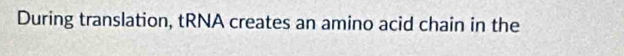 During translation, tRNA creates an amino acid chain in the