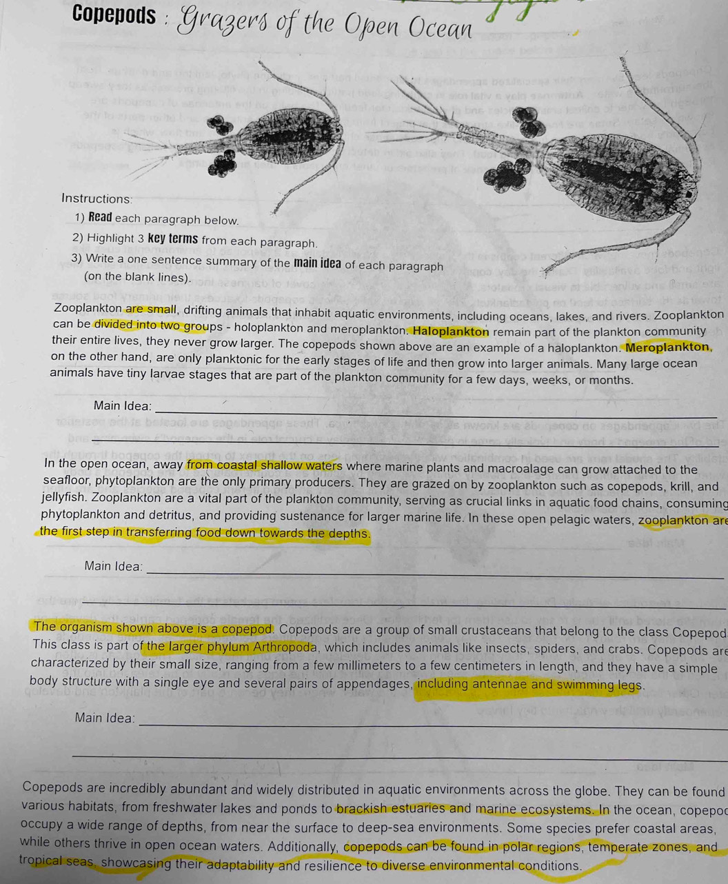 Copepods
Instructions
1) Read each paragraph below.
2) Highlight 3 key terms from each paragraph.
3) Write a one sentence summary of the main idea of each paragraph
(on the blank lines).
Zooplankton are small, drifting animals that inhabit aquatic environments, including oceans, lakes, and rivers. Zooplankton
can be divided into two groups - holoplankton and meroplankton. Haloplankton remain part of the plankton community
their entire lives, they never grow larger. The copepods shown above are an example of a haloplankton. Meroplankton,
on the other hand, are only planktonic for the early stages of life and then grow into larger animals. Many large ocean
animals have tiny larvae stages that are part of the plankton community for a few days, weeks, or months.
_
Main Idea:
_
In the open ocean, away from coastal shallow waters where marine plants and macroalage can grow attached to the
seafloor, phytoplankton are the only primary producers. They are grazed on by zooplankton such as copepods, krill, and
jellyfish. Zooplankton are a vital part of the plankton community, serving as crucial links in aquatic food chains, consuming
phytoplankton and detritus, and providing sustenance for larger marine life. In these open pelagic waters, zooplankton are
the first step in transferring food down towards the depths.
Main Idea:
_
_
The organism shown above is a copepod. Copepods are a group of small crustaceans that belong to the class Copepod
This class is part of the larger phylum Arthropoda, which includes animals like insects, spiders, and crabs. Copepods are
characterized by their small size, ranging from a few millimeters to a few centimeters in length, and they have a simple
body structure with a single eye and several pairs of appendages, including antennae and swimming legs.
_
Main Idea:
_
Copepods are incredibly abundant and widely distributed in aquatic environments across the globe. They can be found
various habitats, from freshwater lakes and ponds to brackish estuaries and marine ecosystems. In the ocean, copepod
occupy a wide range of depths, from near the surface to deep-sea environments. Some species prefer coastal areas,
while others thrive in open ocean waters. Additionally, copepods can be found in polar regions, temperate zones, and
tropical seas, showcasing their adaptability and resilience to diverse environmental conditions.