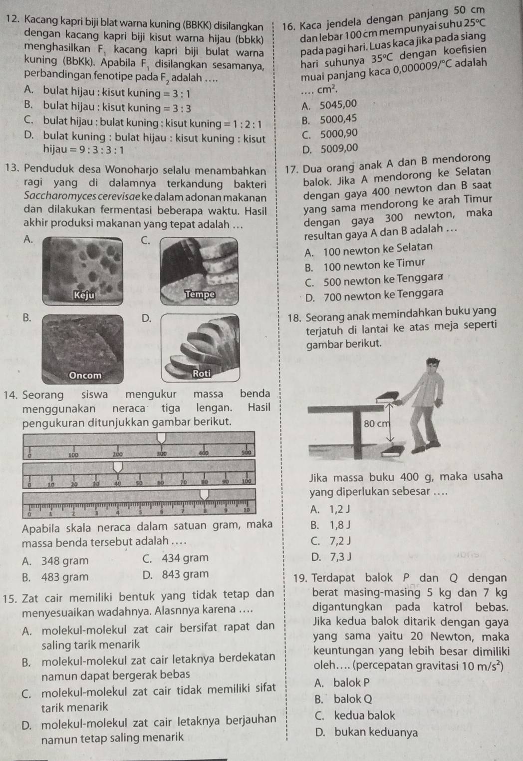 Kacang kapri biji blat warna kuning (BBKK) disilangkan 16. Kaca jendela dengan panjang 50 cm
dengan kacang kapri biji kisut warna hijau (bbkk) dan lebar 100 cm mempunyaí suhu 25°C
menghasilkan F_1 kacang kapri biji bulat warna pada pagi hari, Luas kaca jika pada siang
kuning (BbKk). Äpabila F_1 disilangkan sesamanya,
hari suhunya 35°C dengan koefisien
perbandingan fenotipe pada F_2 adalah .... muai panjang kaca 0,000009/^circ C adalah
A. bulat hijau : kisut kuning =3:1
cm^2.
B. bulat hijau : kisut kuning =3:3 A. 5045,00
C. bulat hijau ; bulat kuning : kisut kuning =1:2:1 B. 5000,45
D. bulat kuning : bulat hijau : kisut kuning : kisut
C. 5000,90
hiji au=9:3:3:1 D. 5009,00
13. Penduduk desa Wonoharjo selalu menambahkan 17. Dua orang anak A dan B mendorong
ragi yang di dalamnya terkandung bakteri balok. Jika A mendorong ke Selatan
Saccharomyces cerevisae ke dalam adonan makanan dengan gaya 400 newton dan B saat
dan dilakukan fermentasi beberapa waktu. Hasil yang sama mendorong ke arah Timur
akhir produksi makanan yang tepat adalah ...
dengan gaya 300 newton, maka
A.
C.
resultan gaya A dan B adalah ….
A. 100 newton ke Selatan
B. 100 newton ke Timur
C. 500 newton ke Tenggara

D. 700 newton ke Tenggara
B.
D.
18. Seorang anak memindahkan buku yang
terjatuh di lantai ke atas meja seperti
gambar berikut.
 
14. Seorang siswa mengukur massa benda
menggunakan neraca tiga lengan. Hasil
pengukuran ditunjukkan gambar berikut.
100 200 300 400
20 30 40 Jika massa buku 400 g, maka usaha
yang diperlukan sebesar ...
A. 1,2 J
Apabila skala neraca dalam satuan gram, maka B. 1,8 J
massa benda tersebut adalah . . . . C. 7,2 J
A. 348 gram C. 434 gram D. 7,3 J
B. 483 gram D. 843 gram 19. Terdapat balok Pdan Q dengan
15. Zat cair memiliki bentuk yang tidak tetap dan berat masing-masing 5 kg dan 7 kg
menyesuaikan wadahnya. Alasnnya karena …. digantungkan pada katrol bebas.
A. molekul-molekul zat cair bersifat rapat dan Jika kedua balok ditarik dengan gaya
yang sama yaitu 20 Newton, maka
saling tarik menarik
keuntungan yang lebih besar dimiliki
B. molekul-molekul zat cair letaknya berdekatan oleh.... (percepatan gravitasi 10m/s^2)
namun dapat bergerak bebas
C. molekul-molekul zat cair tidak memiliki sifat A. balok P
B. balok Q
tarik menarik
D. molekul-molekul zat cair letaknya berjauhan C. kedua balok
namun tetap saling menarik
D. bukan keduanya