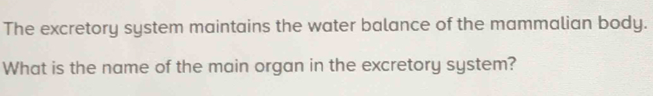 The excretory system maintains the water balance of the mammalian body. 
What is the name of the main organ in the excretory system?