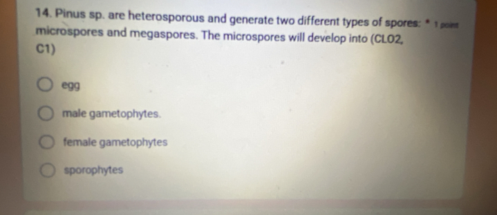 Pinus sp. are heterosporous and generate two different types of spores: * 1 point
microspores and megaspores. The microspores will develop into (CLO2,
C1)
egg
male gametophytes.
female gametophytes
sporophytes