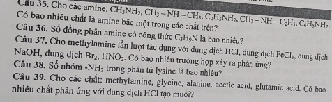 Cho các amine: 
Có bao nhiêu chất là amine bậc một trong các chất trên? CH_3NH_2, CH_3-NH-CH_3, C_2H_5NH_2, CH_3-NH-C_2H_5, C_6H_5NH_2. 
Câu 36. Số đồng phân amine có công thức C_3H_9N là bao nhiêu? 
Câu 37. Cho methylamine lần lượt tác dụng với dung dịch HCl, dung dịch FeCl_3 , dung dịch 
NaOH, dung dịch Br_2, HNO_2. Có bao nhiêu trường hợp xảy ra phản ứng? 
Câu 38. Số nhóm -NH_2 trong phân tử lysine là bao nhiêu? 
Câu 39. Cho các chất: methylamine, glycine, alanine, acetic acid, glutamic acid. Có bao 
nhiêu chất phản ứng với dung dịch HCl tạo muối?