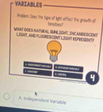 VARIABLES 
Problem: Does the tupe of light affect the growth of 
tomatoes? 
WHAT DOES NATURAL SUNLIGHT, INCANDESCENT 
LIGHT, AND FLUORESCENT LIGH 
A. Independent Variable