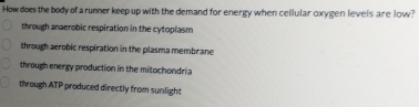 How does the body of a runner keep up with the demand for energy when cellular oxygen levels are low?
through anaerobic respiration in the cytoplasm
through aerobic respiration in the plasma membrane
through energy production in the mitochondria
through ATP produced directly from sunlight