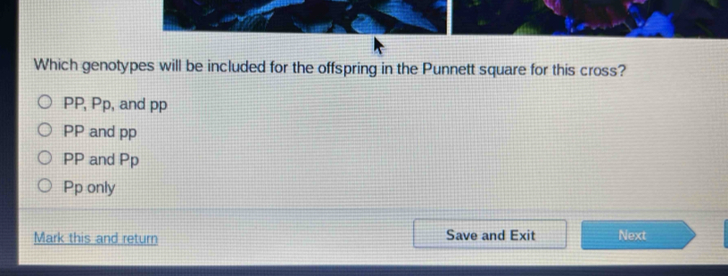 Which genotypes will be included for the offspring in the Punnett square for this cross?
PP, Pp , and pp
PP and pp
PP and Pp
Pp only
Mark this and return Save and Exit Next