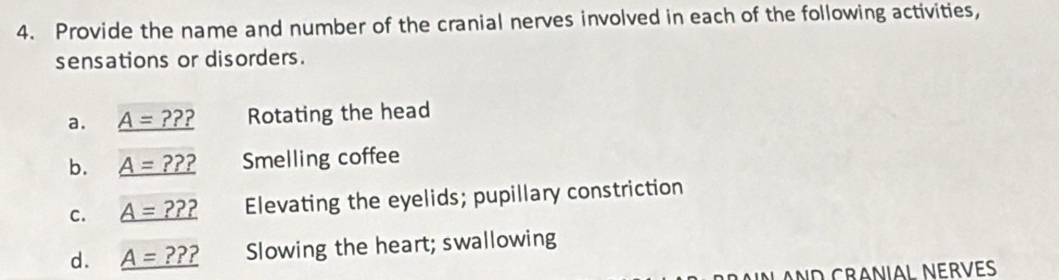 Provide the name and number of the cranial nerves involved in each of the following activities, 
sensations or disorders. 
a. _ A=??? Rotating the head 
b. _ A=??? Smelling coffee 
C. _ A=??? Elevating the eyelids; pupillary constriction 
d. _ A=??? Slowing the heart; swallowing 
AND CRANIAL NERVES