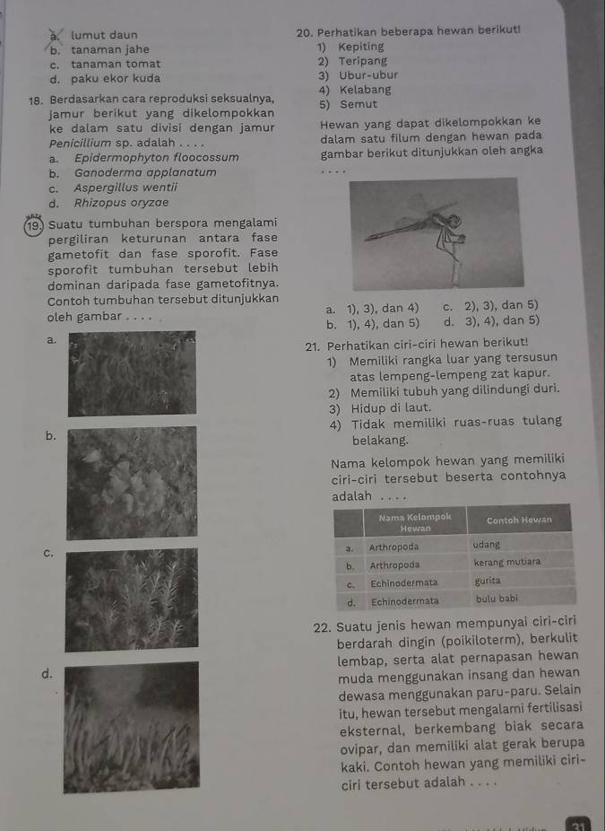 a. lumut daun 20. Perhatikan beberapa hewan berikut!
b. tanaman jahe 1) Kepiting
c. tanaman tomat 2) Teripang
d. paku ekor kuda 3) Ubur-ubur
18. Berdasarkan cara reproduksi seksualnya, 4) Kelabang
jamur berikut yang dikelompokkan 5) Semut
ke dalam satu divisi dengan jamur Hewan yang dapat dikelompokkan ke
Penicillium sp. adalah . . . . dalam satu filum dengan hewan pada
a. Epidermophyton floocossum gambar berikut ditunjukkan oleh angka
b. Ganoderma applanatum
c. Aspergillus wentii
d. Rhizopus oryzae
19) Suatu tumbuhan berspora mengalami
pergiliran keturunan antara fase
gametofit dan fase sporofit. Fase
sporofit tumbuhan tersebut lebih
dominan daripada fase gametofitnya.
Contoh tumbuhan tersebut ditunjukkan
oleh gambar …. a. 1), 3), dan 4) c. 2), 3), dan 5)
b. 1), 4), dan 5) d. 3), 4), dan 5)
a
21. Perhatikan ciri-ciri hewan berikut!
1) Memiliki rangka luar yang tersusun
atas lempeng-lempeng zat kapur.
2) Memiliki tubuh yang dilindungi duri.
3) Hidup di laut.
4) Tidak memiliki ruas-ruas tulang
b
belakang.
Nama kelompok hewan yang memiliki
ciri-ciri tersebut beserta contohnya
adalah .
c
22. Suatu jenis hewan mempunyai ciri-ciri
berdarah dingin (poikiloterm), berkulit
dlembap, serta alat pernapasan hewan
muda menggunakan insang dan hewan
dewasa menggunakan paru-paru. Selain
itu, hewan tersebut mengalami fertilisasi
eksternal, berkembang biak secara
ovipar, dan memiliki alat gerak berupa
kaki. Contoh hewan yang memiliki ciri-
ciri tersebut adalah . . . .