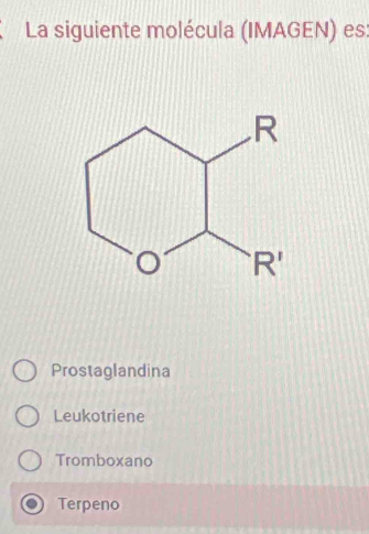 La siguiente molécula (IMAGEN) es:
Prostaglandina
Leukotriene
Tromboxano
Terpeno