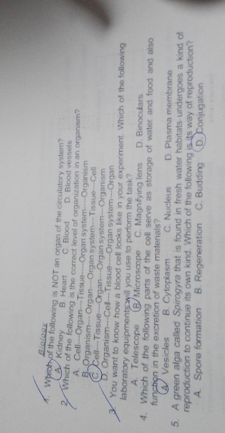 Biologv
4. Which of the following is NOT an organ of the circulatory system?
Kidney B. Heart C. Blood D. Blood vessels
2. Which of the following is the correct level of organization in an organism?
A. Cell---Organ---Tissue----Organ system----Organism
B-Organism--- Organ---Organ system---Tissue---Cell
C. Cell---Tissue---Organ---Organ system---Organism
D. Organism---Cell---Tissue----Organ system---Organ
3. You want to know how a blood cell looks like in your experiment. Which of the following
laboratory equipments will you use to perform the task?
A. Telescope B Microscope C. Magnifying lens D. Binoculars
4. Which of the following parts of the cell serve as storage of water and food and also
function in the excretion of waste materials?
A Vesicles B. Cytoplasm C. Nucleus D. Plasma membrane
5. A green alga called Spirogyra that is found in fresh water habitats undergoes a kind of
reproduction to continue its own kind. Which of the following is its way of reproduction?
A. Spore formation B. Regeneration C. Budding D. Conjugation