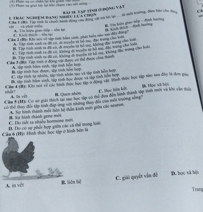 (4) Phân xạ co chân lại khi giám vào tì
(5) Phán xạ giụt tay lại khi chạm vào nổi nóng.
bài 18. tập tính ở động vật
1 trÁc nghiệm dạng nhiều lựả chọn
sa
Cầu 1 (B); Tập tính là chuỗi hành động của động vật trả lời lại ... từ môi trường, đảm bảo cho động Câ
vật . và phát triển.
B. Tín hiệu giao tiếp - định hướng
A. Tin hiệu giao tiếp - tồn tại
D. Kích thích - định hướng
C. Kích thích - tồn tại
Câu 2 (B): Khi nói về tập tính bầm sinh, phát biểu nào sau đây đúng?
A. Tập tính sinh ra đã có, di truyền từ bộ mẹ, đặc trưng cho loài
B. Tập tính sinh ra đã có, di truyền từ bố mc, không đặc trưng cho loài
C. Tập tính sinh ra đã có, không di truyền từ bố mẹ, đặc trưng cho loài
D. Tập tính sinh ra đã có, không di truyền từ bố mẹ, không đặc trưng cho loài.
Câu 3 (B): Tập tính ở động vật được có thể được chia thành
A. tập tính bầm sinh, tập tính hỗn hợp.
B. tập tính học được, tập tính hỗn hợp.
C. tập tính tự nhiên, tập tính nhân tạo và tập tính hỗn hợp.
D. tập tính bầm sinh, tập tính học được và tập tính hỗn hợp.
Câu 4 (B): Khi nói về các hình thức học tập ở động vật. Hình thức học tập nào sau đây là đơn giản
nhất?
C. Học liên kết. D. Học xã hội.
A. In vết. B. Quen nhờn.
Câu 5 (H): Cơ sở giải thích tại sao học tập có thể đưa đến hình thành tập tính mới và khi cần thiết
có thể thay đổi tập tính đáp ứng với những thay đổi của môi trường sống?
A. Sự hình thành mối liên hệ thần kinh mới giữa các neuron.
B. Sự hình thành gene mới.
C. Do tiết ra nhiều hormone mới.
D. Do có sự phối hợp giữa các cá thể trong loài.
Câu 6 (H): Hình thức học tập ở hình bên là
C. giải quyết vấn đề D. học xã hội
Trang