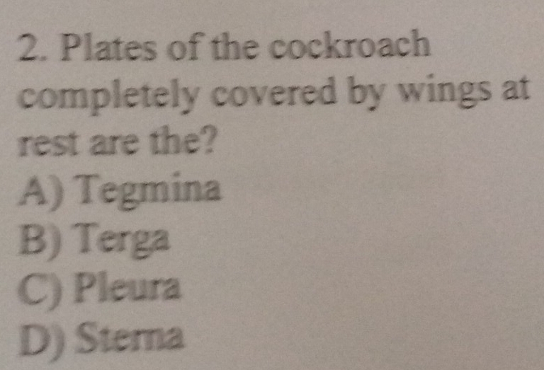 Plates of the cockroach
completely covered by wings at
rest are the?
A) Tegmina
B) Terga
C) Pleura
D) Sterna