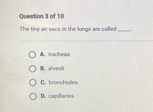 The tiny air sacs in the lungs are called _.
A. tracheas
B. alveoli
C. bronchioles
D. capillaries