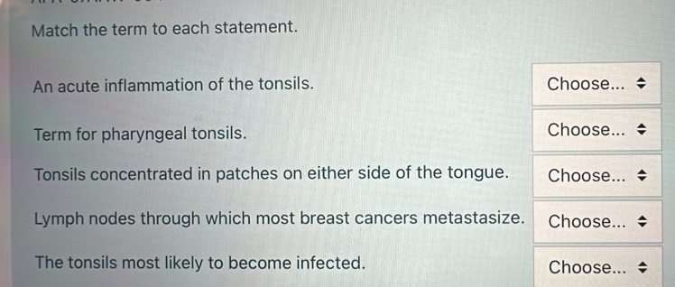 Match the term to each statement. 
An acute inflammation of the tonsils. Choose... 
Term for pharyngeal tonsils. Choose... 
Tonsils concentrated in patches on either side of the tongue. Choose... 
Lymph nodes through which most breast cancers metastasize. Choose... 
The tonsils most likely to become infected. Choose...