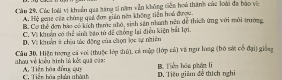 Các loài vi khuẩn qua hàng tỉ năm vẫn không tiến hoá thành các loài đa bào vì:
A. Hệ gene của chúng quá đơn giản nên không tiến hoá được.
B. Cơ thể đơn bào có kích thước nhỏ, sinh sản nhanh nên dễ thích ứng với môi trường.
C. Vi khuẩn có thể sinh bào tử để chống lại điều kiện bất lợi.
D. Vi khuẩn ít chịu tác động của chọn lọc tự nhiên
Câu 30. Hiện tượng cá voi (thuộc lớp thú), cá mập (lớp cá) và ngư long (bò sát cổ đại) giống
nhau về kiểu hình là kết quả của:
A. Tiến hóa đồng quy B. Tiến hóa phân li
C. Tiến hóa phân nhánh D. Tiêu giảm để thích nghi