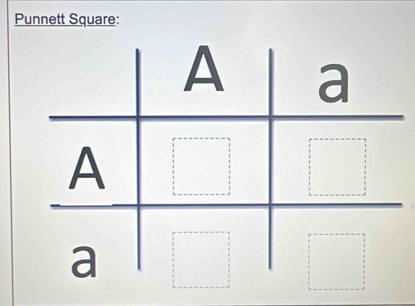 Punnett Square: