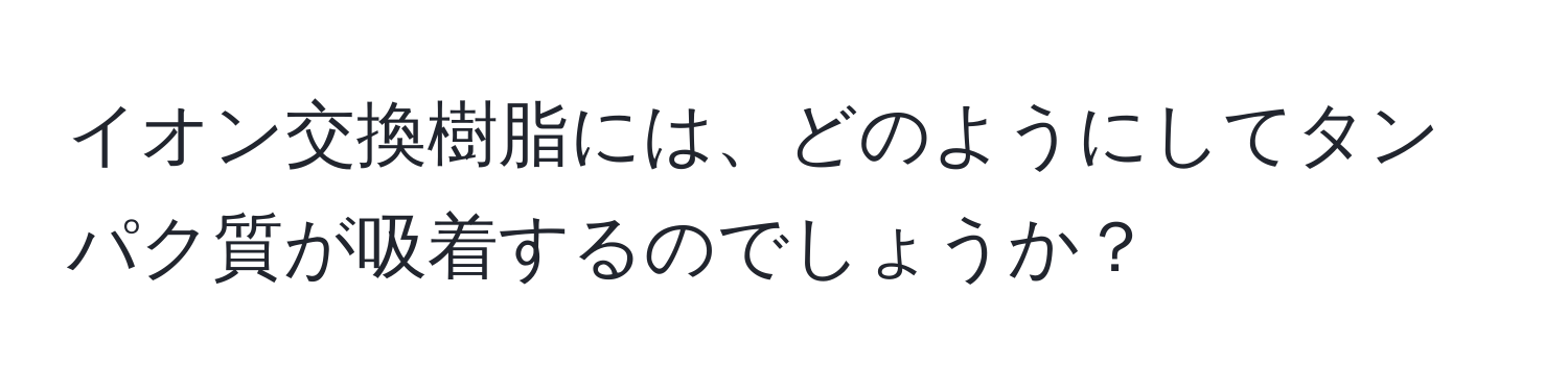 イオン交換樹脂には、どのようにしてタンパク質が吸着するのでしょうか？