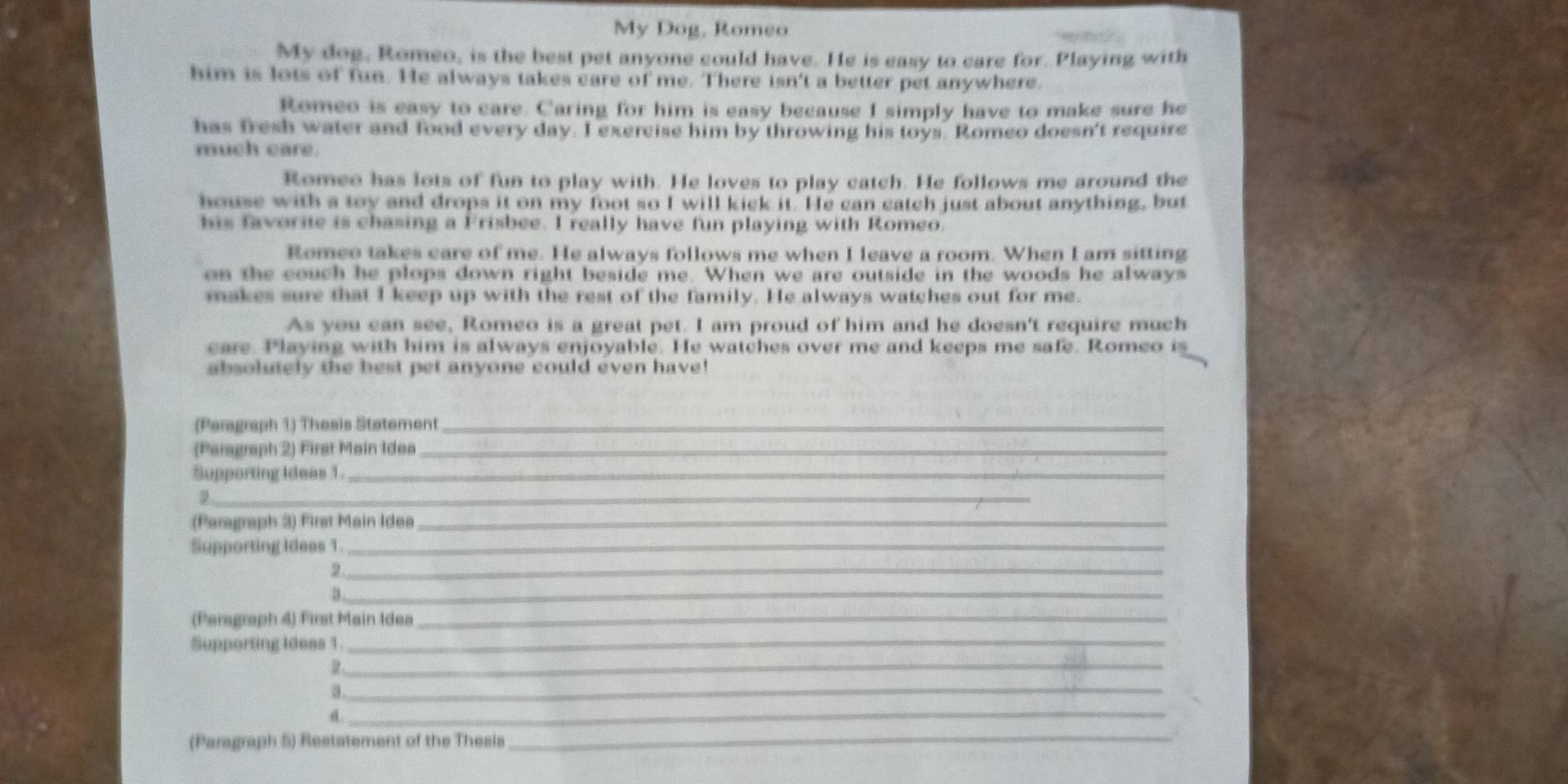 My Dog, Romeo 
My dog, Romeo, is the best pet anyone could have. He is easy to care for. Playing with 
him is lots of fun. He always takes care of me. There isn't a better pet anywhere. 
Romeo is easy to care. Caring for him is easy because I simply have to make sure he 
has fresh water and food every day. I exercise him by throwing his toys. Romeo doesn't require 
much care. 
Romeo has lots of fun to play with. He loves to play catch. He follows me around the 
house with a toy and drops it on my foot so I will kick it. He can catch just about anything, but 
his favorite is chasing a Frisbee. I really have fun playing with Romeo. 
Romeo takes care of me. He always follows me when I leave a room. When I am sitting 
on the couch he plops down right beside me. When we are outside in the woods he always 
makes sure that I keep up with the rest of the family. He always watches out for me. 
As you can see, Romeo is a great pet. I am proud of him and he doesn't require much 
eare. Playing with him is always enjoyable. He watches over me and keeps me safe. Romeo is 
absolutely the best pet anyone could even have! 
(Peragraph 1) Thesis Statement_ 
(Paragraph 2) First Main Idea_ 
Supporting Ideas 1._ 
_ 
(Paragraph 3) First Main Idea_ 
Supporting ideas 1._ 
_ 
_a 
(Paragraph 4) First Main Idea_ 
Supporting Ideas 1._ 
_2 
_a 
d._ 
(Paragraph 5) Restatement of the Thesis_