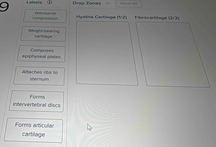 Labels a Drop Zones Reset All 
Withstands 
compression Hyaline Cartilage (1/2) 
Weight-bearing 
cartilage 
Composes 
epiphyseal plates 
Attaches ribs to 
sternum 
Forms 
intervertebral discs 
Forms articular 
cartilage