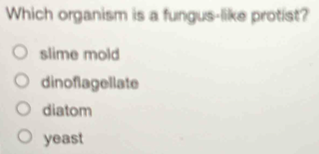 Which organism is a fungus-like protist?
slime mold
dinoflagellate
diatom
yeast