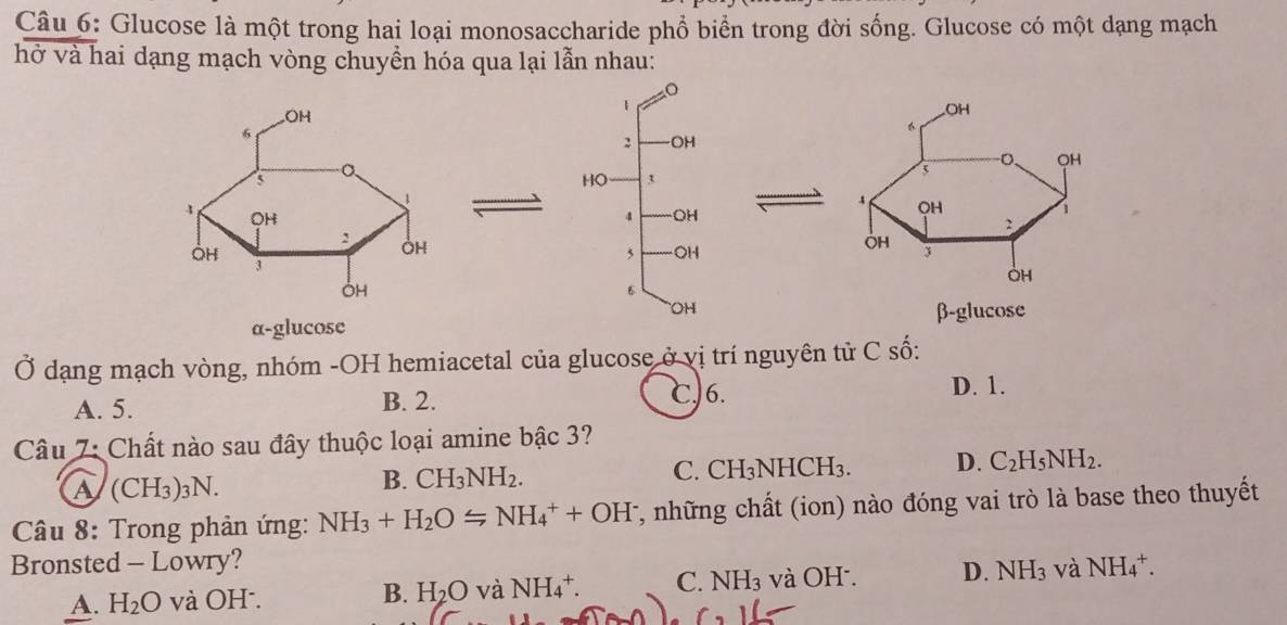 Glucose là một trong hai loại monosaccharide phổ biển trong đời sống. Glucose có một dạng mạch
hở và hai dạng mạch vòng chuyền hóa qua lại lẫn nhau:

α-glucoseβ-glucose
Ở dạng mạch vòng, nhóm -OH hemiacetal của glucose ở vị trí nguyên tử C số:
A. 5. B. 2.
C. 6. D. 1.
Câu 7: Chất nào sau đây thuộc loại amine bậc 3?
C. CH_3 NH CH_3 D. C_2H_5NH_2.
A (CH₃)3N.
B. CH_3NH_2. 
Câu 8: Trong phản ứng: NH_3+H_2OLongleftrightarrow NH_4^(++OH 7, những chất (ion) nào đóng vai trò là base theo thuyết
Bronsted - Lowry? NH_4^+.
A. H_2)O và OH . B. H₂O và NH_4^(+. C. NH_3) và OH . D. NH_3 và