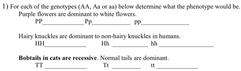 For each of the genotypes (AA, Aa or aa) below determine what the phenotype would be. 
Purple flowers are dominant to white flowers. 
PP_ 
Pp_ 
pp_ 
Hairy knuckles are dominant to non-hairy knuckles in humans. 
_ 
HH 
Hh 
__ 
hh 
Bobtails in cats are recessive. Normal tails are dominant. 
TT_ 
Tt_ 
tt_