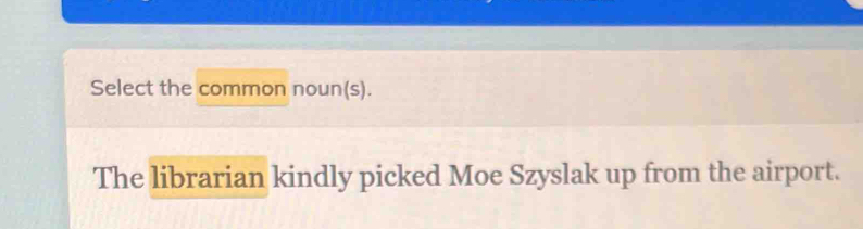 Select the common noun(s). 
The librarian kindly picked Moe Szyslak up from the airport.