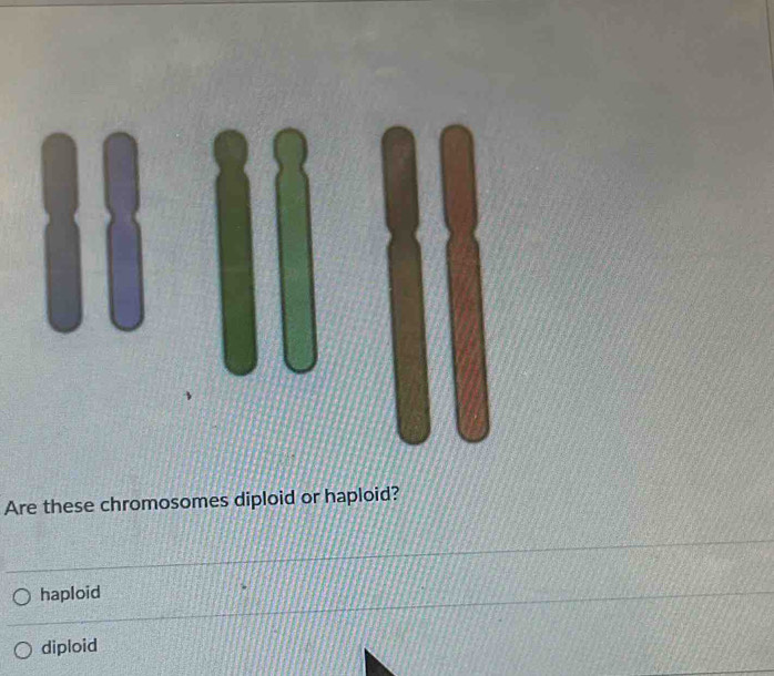 Are these chromosomes diploid or haploid?
haploid
diploid