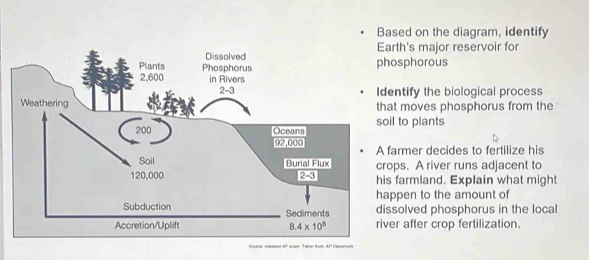 Based on the diagram, identify
rth's major reservoir for
osphorous
ntify the biological process
t moves phosphorus from the
l to plants
armer decides to fertilize his
ps. A river runs adjacent to
farmland. Explain what might
ppen to the amount of
solved phosphorus in the local
r after crop fertilization.
Source, released AP exam. Taken from, AP Classrsom