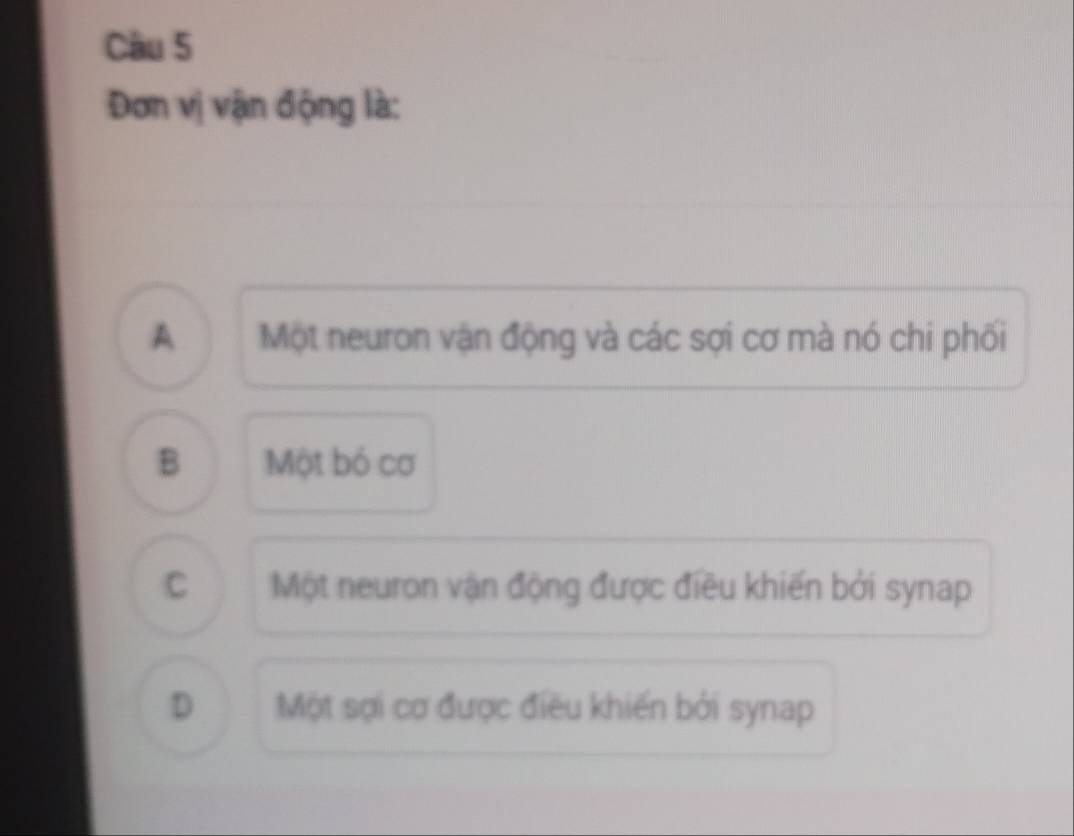 Đơn vị vận động là:
A Một neuron vận động và các sợi cơ mà nó chi phối
B Một bỏ cơ
C Một neuron vận động được điều khiến bởi synap
D Một sợi cơ được điều khiến bởi synap