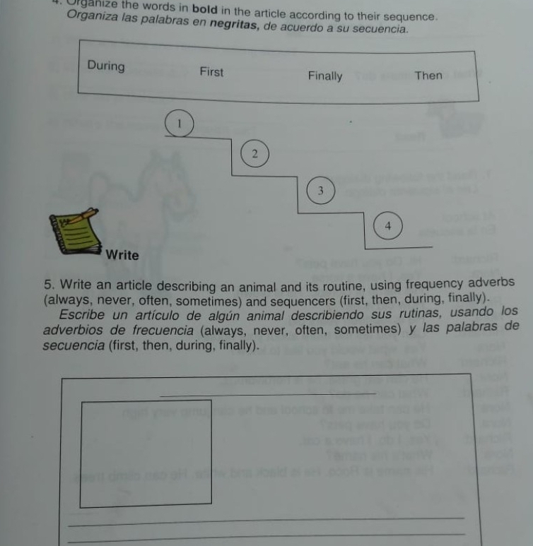 Organize the words in bold in the article according to their sequence. 
Organiza las palabras en negritas, de acuerdo a su secuencia. 
During First Finally Then 
5. Write an article describing an animal and its routine, using frequency adverbs 
(always, never, often, sometimes) and sequencers (first, then, during, finally). 
Escribe un artículo de algún animal describiendo sus rutinas, usando los 
adverbios de frecuencia (always, never, often, sometimes) y las palabras de 
secuencia (first, then, during, finally). 
_ 
_ 
_