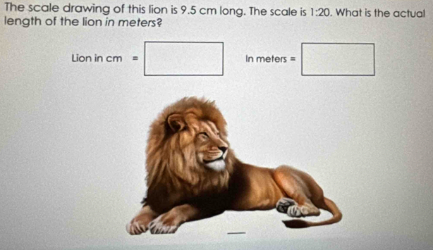 The scale drawing of this lion is 9.5 cm long. The scale is 1:20. What is the actual 
length of the lion in meters? 
□  
Lion in cm=□ In ne ∴ A∩  S =□ 
1015