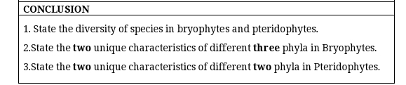 CONCLUSION 
1. State the diversity of species in bryophytes and pteridophytes. 
2.State the two unique characteristics of different three phyla in Bryophytes. 
3.State the two unique characteristics of different two phyla in Pteridophytes.