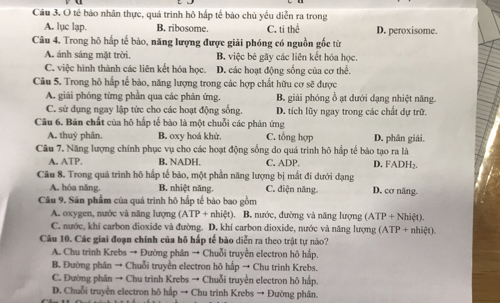 Ơ tế bào nhân thực, quá trình hô hấp tế bào chủ yếu diễn ra trong
A. lục lạp. B. ribosome. C. ti thể D. peroxisome.
Câu 4. Trong hô hấp tế bào, năng lượng được giải phóng có nguồn gốc từ
A. ánh sáng mặt trời. B. việc bẻ gãy các liên kết hóa học.
C. việc hình thành các liên kết hóa học. D. các hoạt động sống của cơ thể.
Câu 5. Trong hô hấp tế bào, năng lượng trong các hợp chất hữu cơ sẽ được
A. giải phóng từng phần qua các phản ứng. B. giải phóng ồ ạt dưới dạng nhiệt năng.
C. sử dụng ngay lập tức cho các hoạt động sống. D. tích lũy ngay trong các chất dự trữ.
Câu 6. Bản chất của hô hấp tế bào là một chuỗi các phản ứng
A. thuỷ phân. B. oxy hoá khử. C. tổng hợp D. phân giải.
Câu 7. Năng lượng chính phục vụ cho các hoạt động sống do quá trình hô hấp tế bào tạo ra là
A. ATP. B. NADH. C. ADP. D. FADH₂.
Câu 8. Trong quá trình hô hấp tế bào, một phần năng lượng bị mất đi dưới dạng
A. hóa năng. B. nhiệt năng. C. diện năng. D. cơ năng.
Câu 9. Sản phẩm của quá trình hô hấp tế bào bao gồm
A. oxygen, nước và năng lượng (ATP + nhiệt). B. nước, đường và năng lượng (ATP + Nhiệt).
C. nước, khí carbon dioxide và đường. D. khí carbon dioxide, nước và năng lượng (ATP + nhiệt).
Câu 10. Các giai đoạn chính của hô hấp tế bào diễn ra theo trật tự nào?
A. Chu trình Krebs → Đường phân → Chuỗi truyền electron hô hấp.
B. Đường phân → Chuỗi truyền electron hô hấp → Chu trình Krebs.
C. Đường phân → Chu trình Krebs → Chuỗi truyền electron hô hấp.
D. Chuỗi truyền electron hô hấp → Chu trình Krebs → Đường phân.