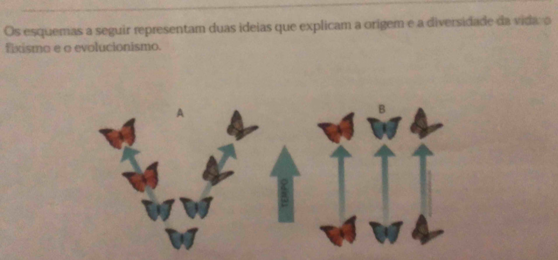 Os esquemas a seguir representam duas ideias que explicam a origem e a diversidade da vida: o 
fixismo e o evolucionismo. 
A 
B