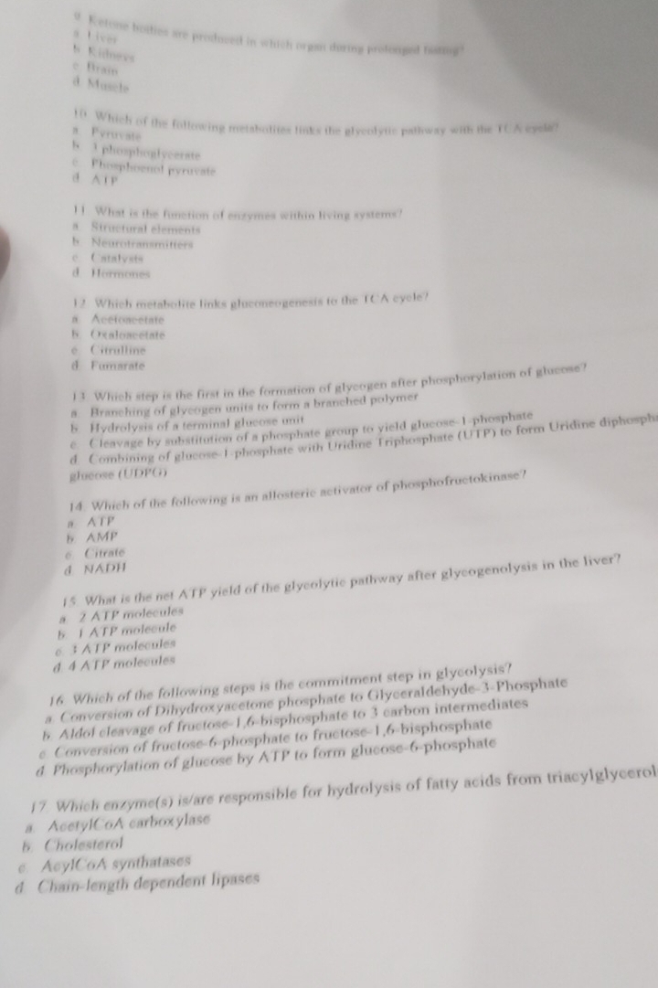 d. Ketone boities are produced in which organ during profonged heting'
a Liver
b Ridnevs
c Brain
d Muscle
10 Which of the following metabolites links the glycolytic pathway with the TCA cycle?
a. Pvruvate
b. 3 phosphoglyeerate
c Phoephoenol pyruvate
d A I P
1 1. What is the function of enzymes within living systers?
a Structural elements
b. Neurotransmitters
c Cntalvsts
d Hormones
12. Which metabolite links gluconeogenesis to the TCA cycle?
a Acetoncetate
b. Oxaloacetate
e Citrulline
d Fumarate
13. Which step is the first in the formation of glyeogen after phosphorylation of glucose?
a. Branching of glyeogen units to form a branched polymer
5 Hydrolysis of a terminal glucose unit
e Cleavage by substitution of a phosphate group to yield glucose-1-phosphate
d. Combining of glucose-1-phosphate with Uridine Triphosphate (UTP) to form Uridine diphosph
ghcose (UDPG)
14. Which of the following is an allosteric activator of phosphofructokinase?
a ATP
b AMP
6. Citrate
d NADH
15. What is the net ATP yield of the glycolytic pathway after glycogenolysis in the liver?
a 2 ATP molecules
5. 1 ATP molecule
c 3 ATP molecules
d. 4 ATP molecules
16. Which of the following steps is the commitment step in glycolysis?
a. Conversion of Dihydroxyacetone phosphate to Glyceraldehyde-3-Phosphate
b. Aldol cleavage of fructose-1,6-bisphosphate to 3 carbon intermediates
e. Conversion of fructose-6-phosphate to fructose-1,6-bisphosphate
d. Phosphorylation of glucose by ATP to form glucose-6-phosphate
17 Which enzyme(s) is/are responsible for hydrolysis of fatty acids from triacylglycerol
a. AcetylCoA carboxylase
b. Cholesterol
c. AcylC6A synthatases
d. Chain-length dependent lipases