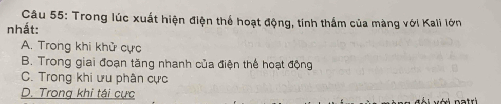 Trong lúc xuất hiện điện thế hoạt động, tính thấm của màng với Kali lớn
nhất:
A. Trong khi khử cực
B. Trong giai đoạn tăng nhanh của điện thế hoạt động
C. Trong khi ưu phân cực
D. Trong khi tái cực