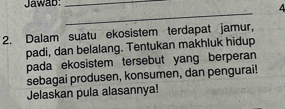 Jawab:_ 
4 
_ 
2. Dalam suatu ekosistem terdapat jamur, 
padi, dan belalang. Tentukan makhluk hidup 
pada ekosistem tersebut yang berperan 
sebagai produsen, konsumen, dan pengurai! 
Jelaskan pula alasannya!