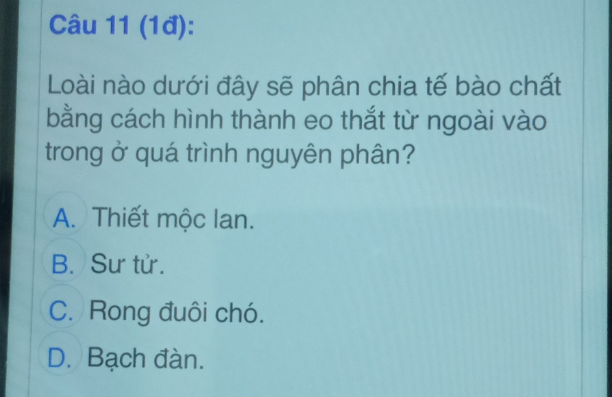 (1đ):
Loài nào dưới đây sẽ phân chia tế bào chất
bằng cách hình thành eo thắt từ ngoài vào
trong ở quá trình nguyên phân?
A. Thiết mộc lan.
B. Sư tử.
C. Rong đuôi chó.
D. Bạch đàn.