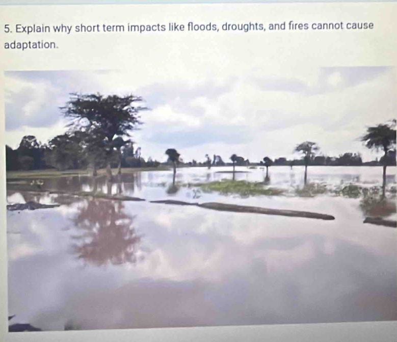 Explain why short term impacts like floods, droughts, and fires cannot cause 
adaptation.