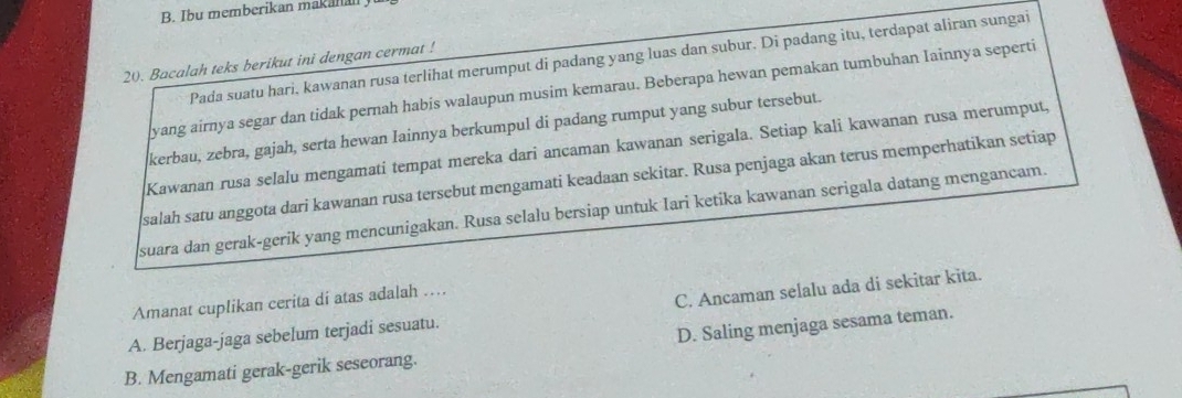 Ibu memberikan makanan
20. Bacalah teks berikut ini dengan cermat ! Pada suatu hari, kawanan rusa terlihat merumput di padang yang luas dan subur. Di padang itu, terdapat aliran sungai
yang airnya segar dan tidak pernah habis walaupun musim kemarau. Beberapa hewan pemakan tumbuhan Iainnya seperti
kerbau, zebra, gajah, serta hewan Iainnya berkumpul di padang rumput yang subur tersebut.
Kawanan rusa selalu mengamati tempat mereka dari ancaman kawanan serigala. Setiap kali kawanan rusa merumput,
salah satu anggota dari kawanan rusa tersebut mengamati keadaan sekitar. Rusa penjaga akan terus memperhatikan setiap
suara dan gerak-gerik yang mencunigakan. Rusa selalu bersiap untuk Iari ketika kawanan serigala datang mengancam.
Amanat cuplikan cerita di atas adalah ....
A. Berjaga-jaga sebelum terjadi sesuatu. C. Ancaman selalu ada di sekitar kita.
D. Saling menjaga sesama teman.
B. Mengamati gerak-gerik seseorang.