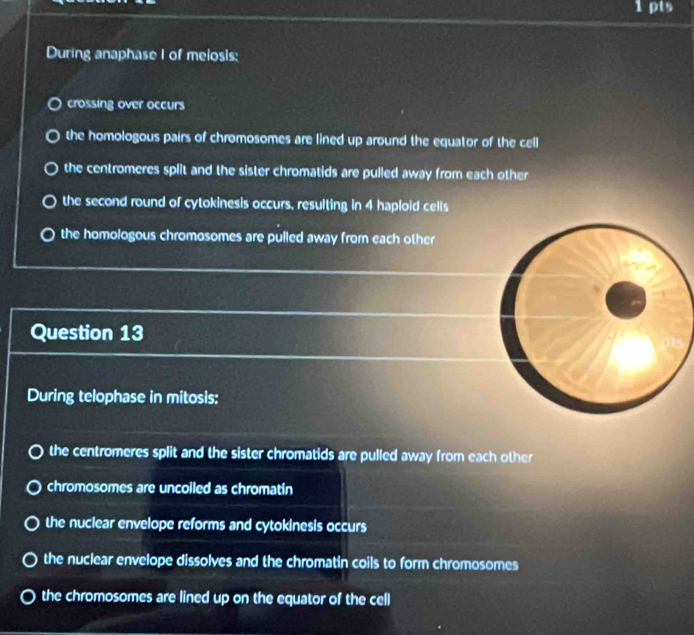 During anaphase I of melosis:
crossing over occurs
the homologous pairs of chromosomes are lined up around the equator of the cell
the centromeres split and the sister chromatids are pulled away from each other
the second round of cytokinesis occurs, resulting in 4 haploid cells
the homologous chromosomes are pulled away from each other
Question 13
During telophase in mitosis:
the centromeres split and the sister chromatids are pulled away from each other
chromosomes are uncoiled as chromatin
the nuclear envelope reforms and cytokinesis occurs
the nuclear envelope dissolves and the chromatin coils to form chromosomes
the chromosomes are lined up on the equator of the cell