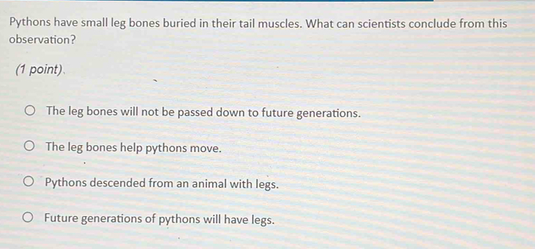 Solved: Pythons have small leg bones buried in their tail muscles. What ...