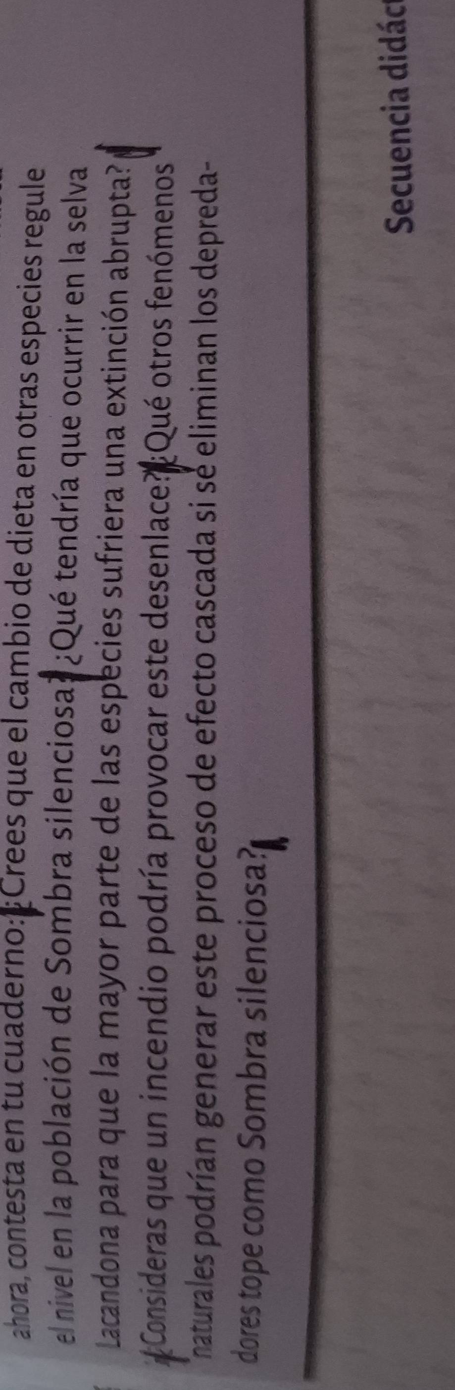 ahora, contesta en tu cuaderno:¿Crees que el cambio de dieta en otras especies regule 
el nivel en la población de Sombra silenciosa? ¿Qué tendría que ocurrir en la selva 
Lacandona para que la mayor parte de las especies sufriera una extinción abrupta? 
Consideras que un incendio podría provocar este desenlace? Qué otros fenómenos 
naturales podrían generar este proceso de efecto cascada si se eliminan los depreda- 
dores tope como Sombra silenciosa? 
Secuencia didác