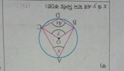 11182 1šol Ml 15 & x