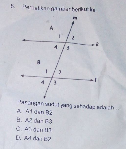 Perhatikan gambar berikut ini:
Pasangan sudut yang sehadap adalah ...
A. A1 dan B2
B. A2 dan B3
C. A3 dan B3
D. A4 dan B2