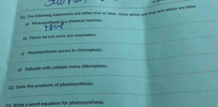 Sciem 
Q1. The following statements are either true or false. State which are true and which are false. 
_ 
a) Photosynthesis is a chemical reaction. 
_b) Plants do not carry out respiration. 
_c) Photosynthesis occurs in chloroplasts. 
_ 
d) Palisade cells contain many chloroplasts. 
_ 
Q2. State the products of photosynthesis. 
03. Write a word equation for photosynthesis.