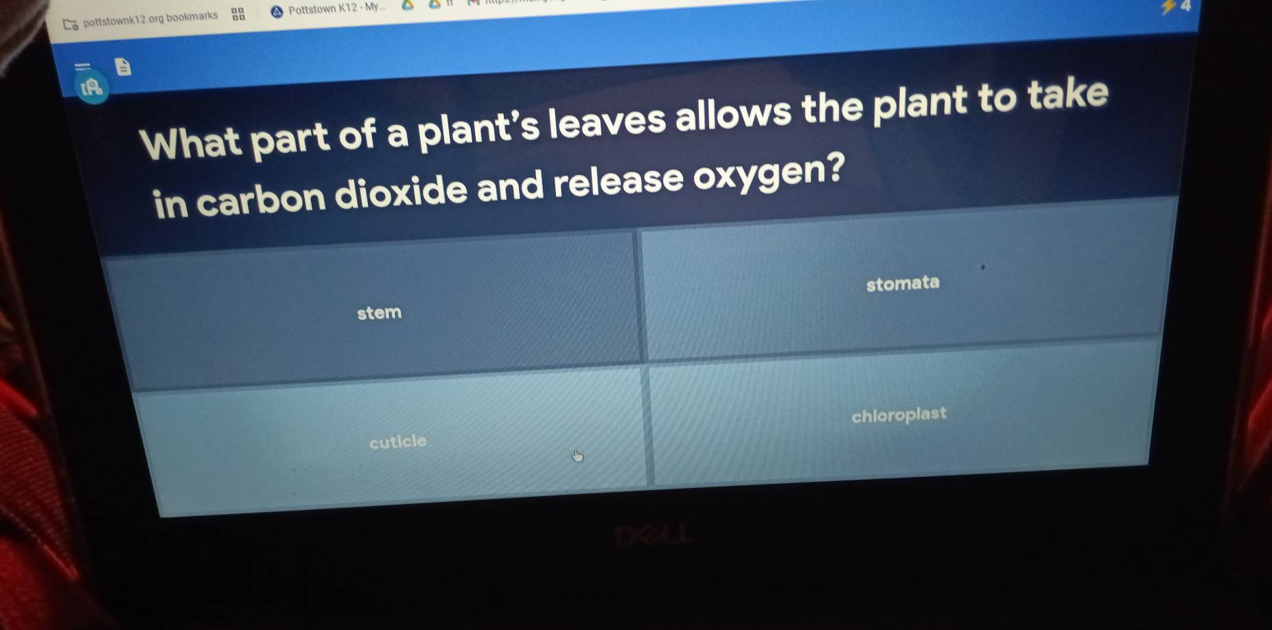 pottstownk12.org bookmarks Pottstown K12 - My.. 
What part of a plant’s leaves allows the plant to take 
in carbon dioxide and release oxygen? 
stomata 
stem 
chloropiast 
cuticle 
dell