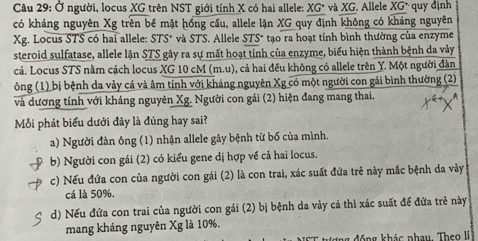 Ở người, locus XG trên NST giới tính X có hai allele: XG^+ và XG. Allele XG^+ quy định
có kháng nguyên Xg trên bể mặt hống cầu, allele lặn XG quy định không có kháng nguyên
Xg. Locus STS có hai allele: STS^+ và STS. Allele STS* tạo ra hoạt tính bình thường của enzyme
steroid sulfatase, allele lặn STS gây ra sự mất hoạt tính của enzyme, biểu hiện thành bệnh da vảy
cá. Locus STS nằm cách locus XG 10 cM (m.u), cả hai đều không có allele trên Y. Một người đàn
ông (1) bị bệnh da vảy cá và âm tính với kháng nguyên Xg có một người con gái bình thường (2)
và dương tính với kháng nguyên Xg. Người con gái (2) hiện đang mang thai.
Mỗi phát biểu dưới đây là đúng hay sai?
a) Người đàn ông (1) nhận allele gây bệnh từ bố của mình.
b) Người con gái (2) có kiểu gene dị hợp về cả hai locus.
c) Nếu đứa con của người con gái (2) là con trai, xác suất đứa trẻ này mắc bệnh da vảy
cá là 50%.
d) Nếu đứa con trai của người con gái (2) bị bệnh da vảy cá thì xác suất để đứa trẻ này
mang kháng nguyên Xg là 10%.
ơ ng đồng khác nhau. Theo lí