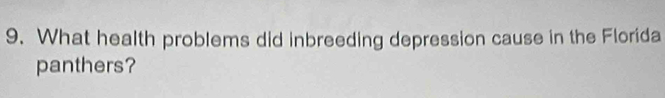 What health problems did inbreeding depression cause in the Florida 
panthers?